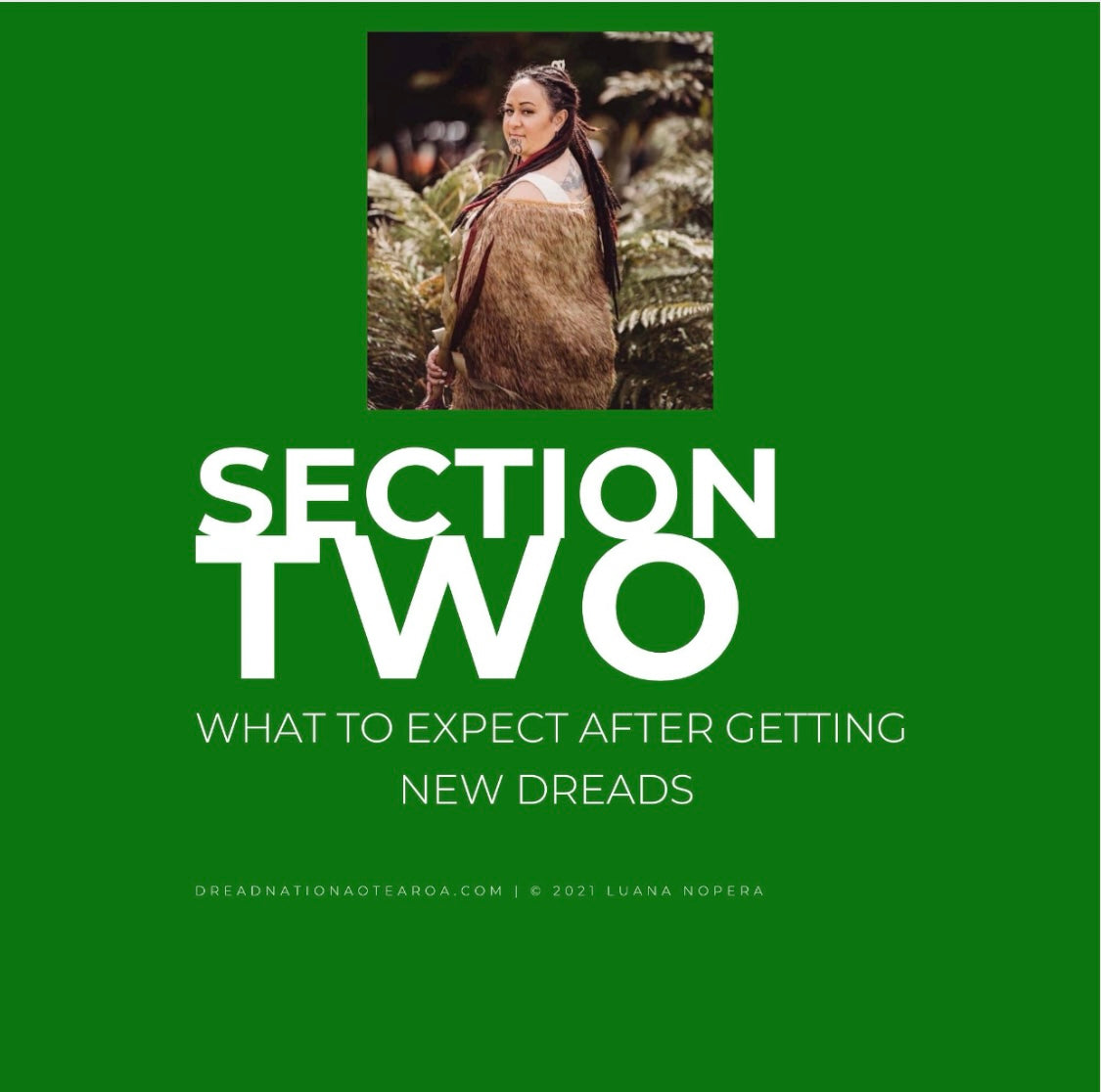 Dreadcare Ebook