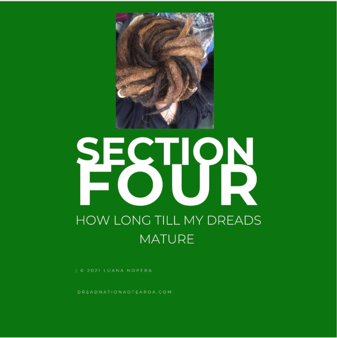 Dreadcare Ebook