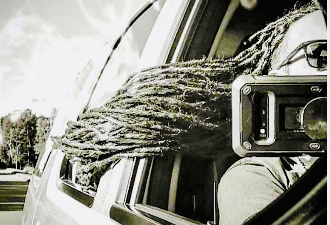 Natural Dreads